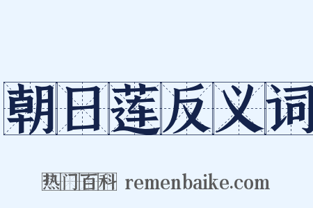 朝日莲反义词是什么意思的图片